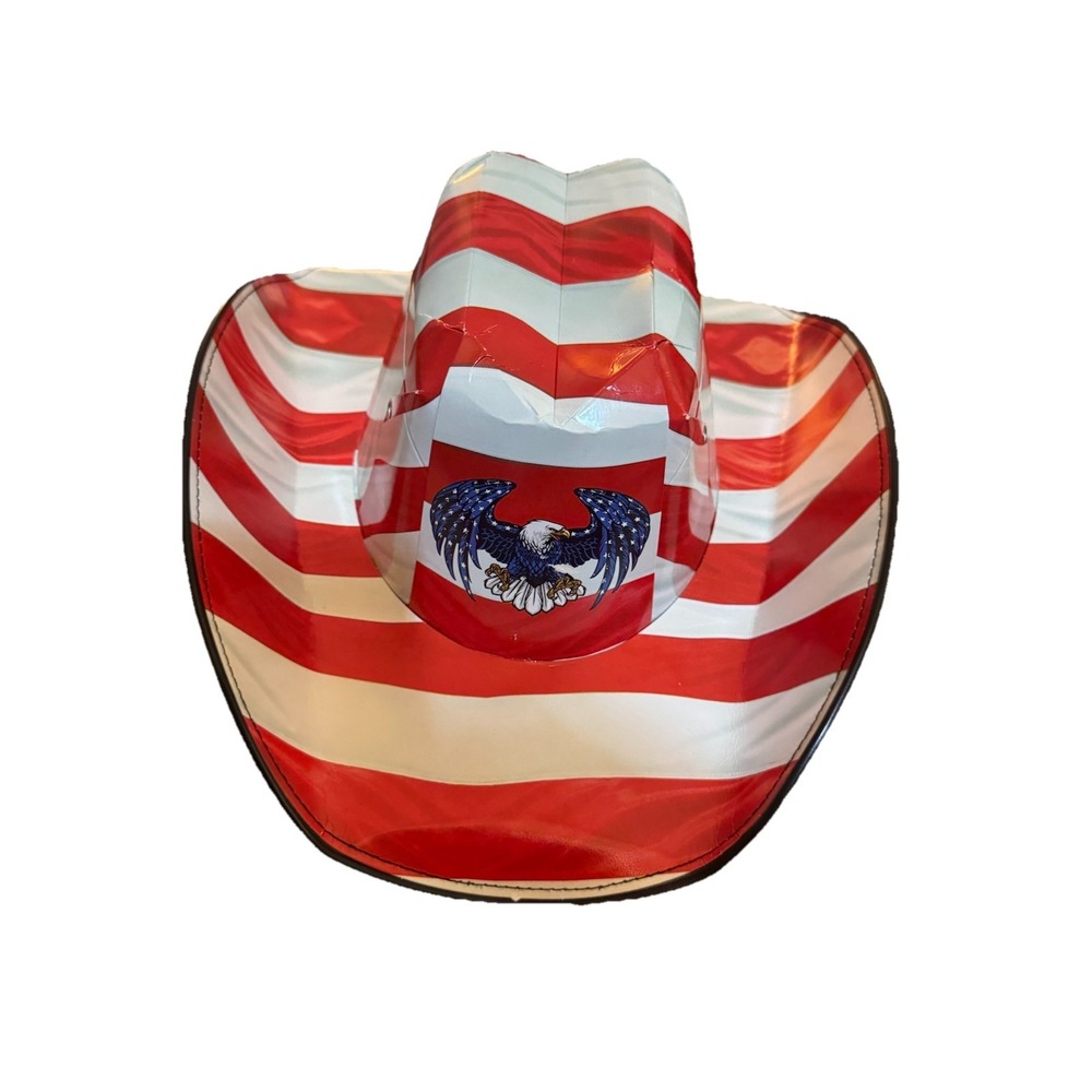 Eagle Stripe Beer Box COWBOY HAT American Flag Carton Novelty Americana New RARE - Picture 5 of 8